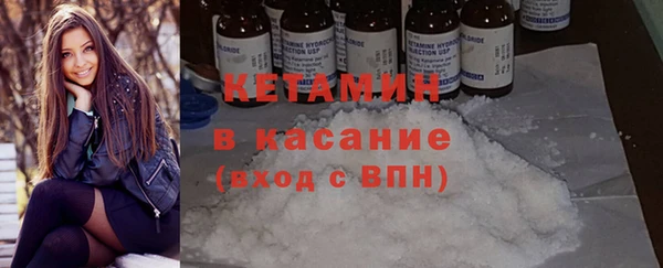 крисы Пересвет