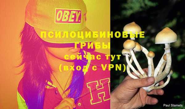 соль ск Всеволожск