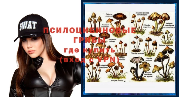 эйфоретик Вуктыл