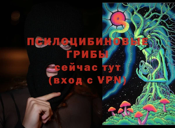 прущая мука Осинники
