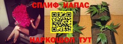мдма Дубна