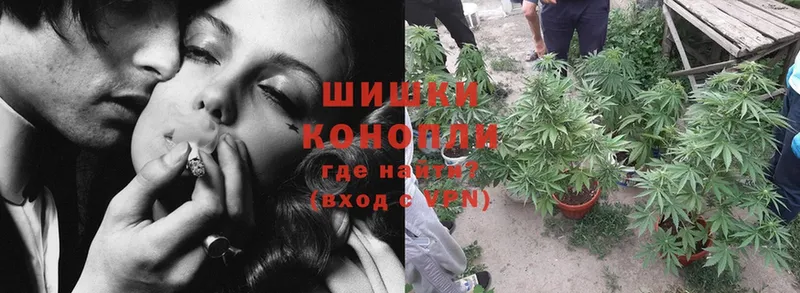 Конопля SATIVA & INDICA  Барабинск 