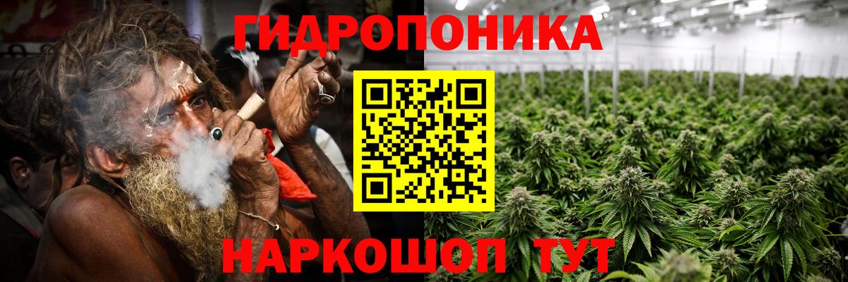 Канабис конопля Барабинск